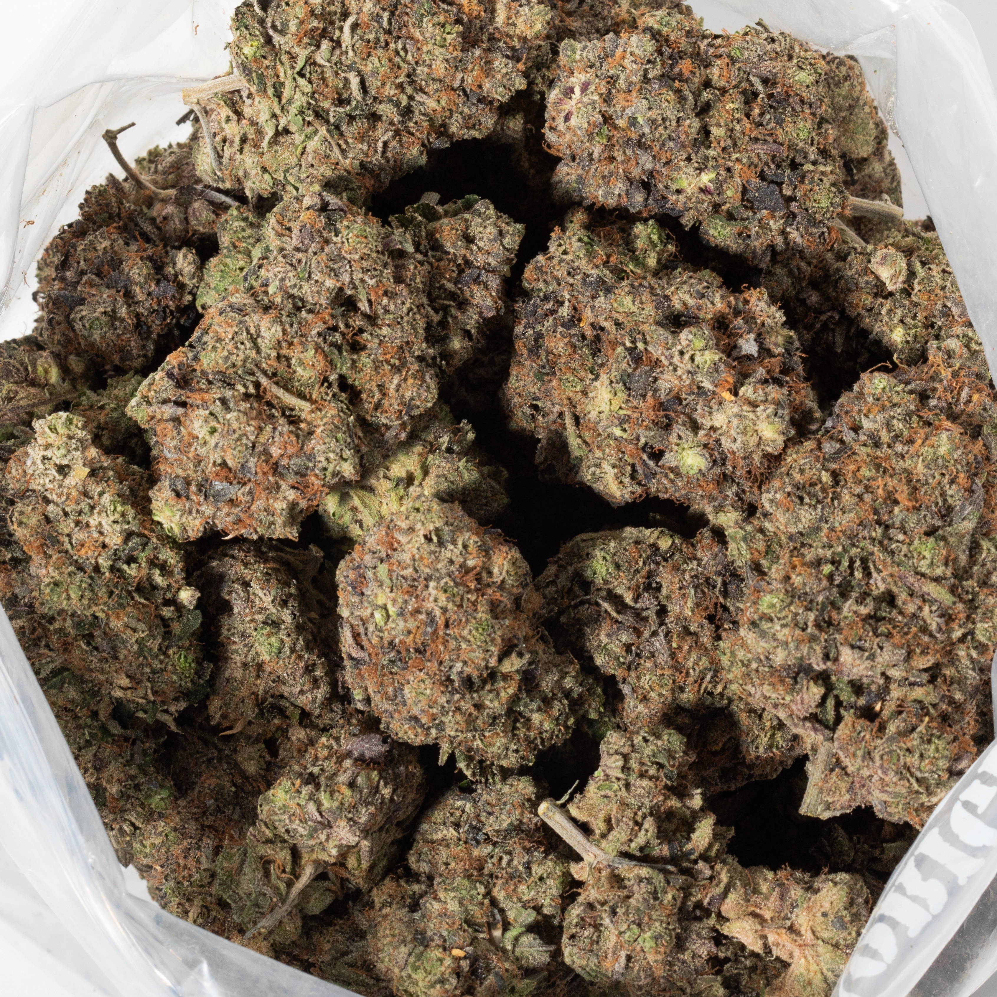 Platinum OG (AAAA+)