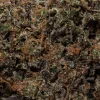 Platinum OG (AAAA+)