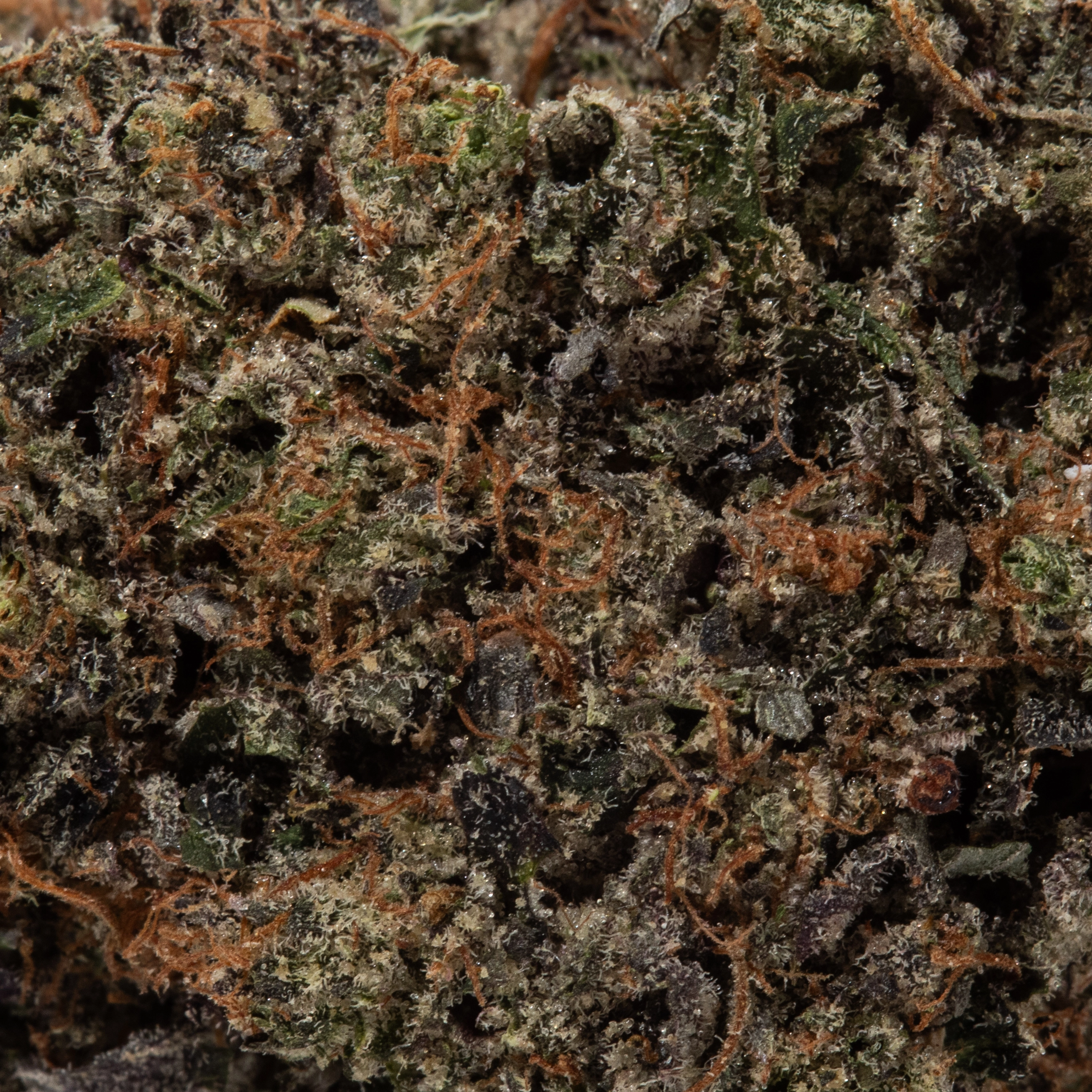 Platinum OG (AAAA+)