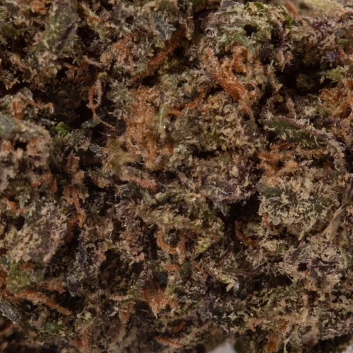 AK-47 (AAAA)