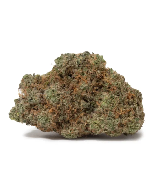 Neon Sunshine (AAAA+)