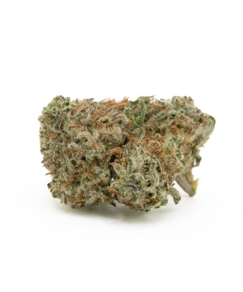Gelato #33 (AAAA+/Popcorn)