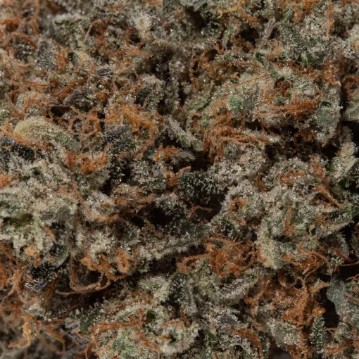 Tom Ford Pink Kush (AAAAA/Craft)