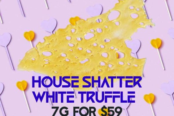 House Shatter White Truffle Banner