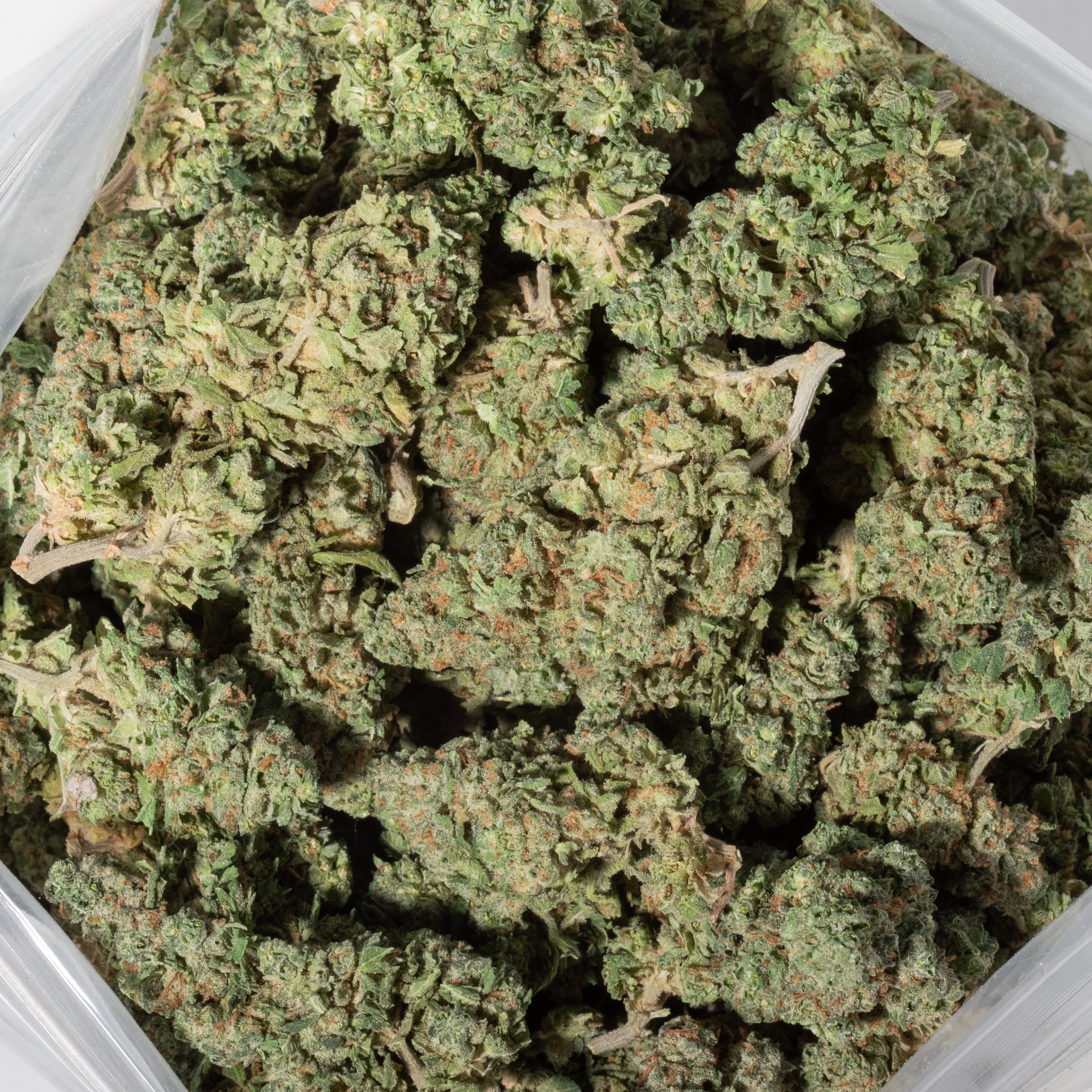 Pineapple Haze (AA+)