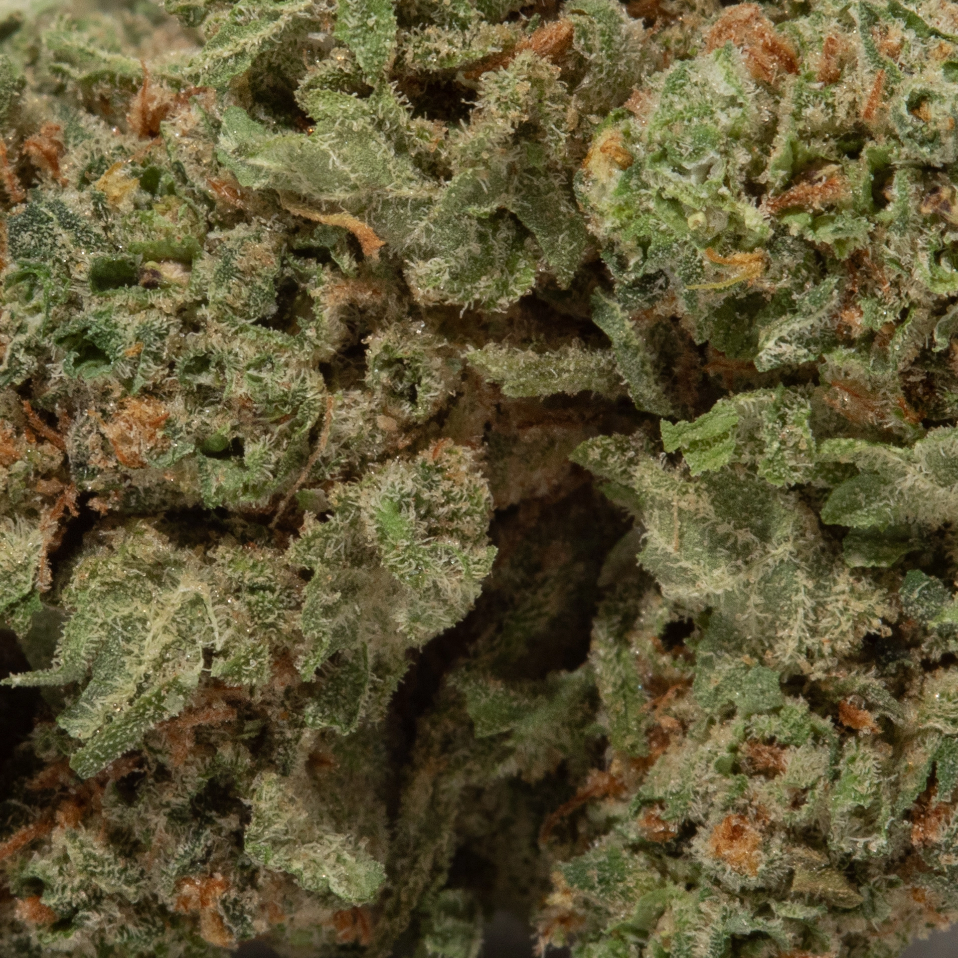 Pineapple Haze (AA+)