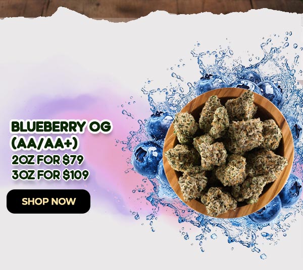  2 OZ / 3 OZ Blueberry OG (AA/AA+) - $79/109