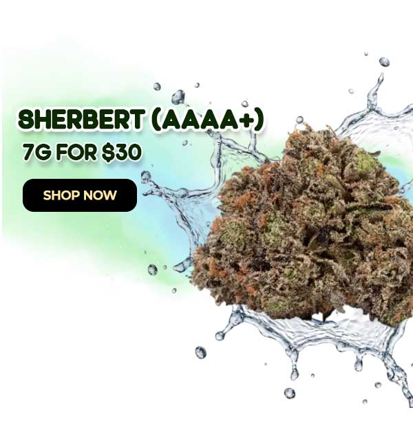 Sherbert (AAAA+) - 7G for $30