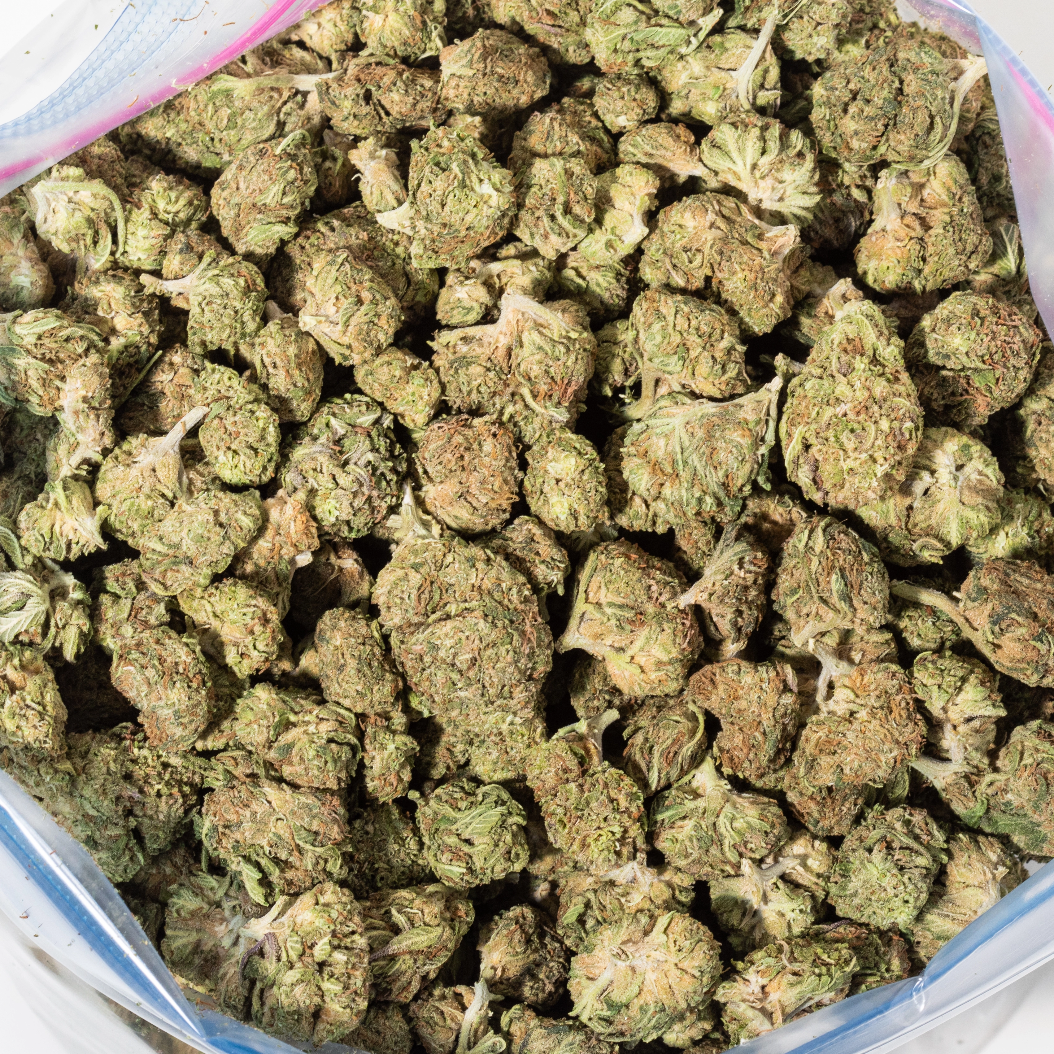 Blueberry Kush (Budget Buds)