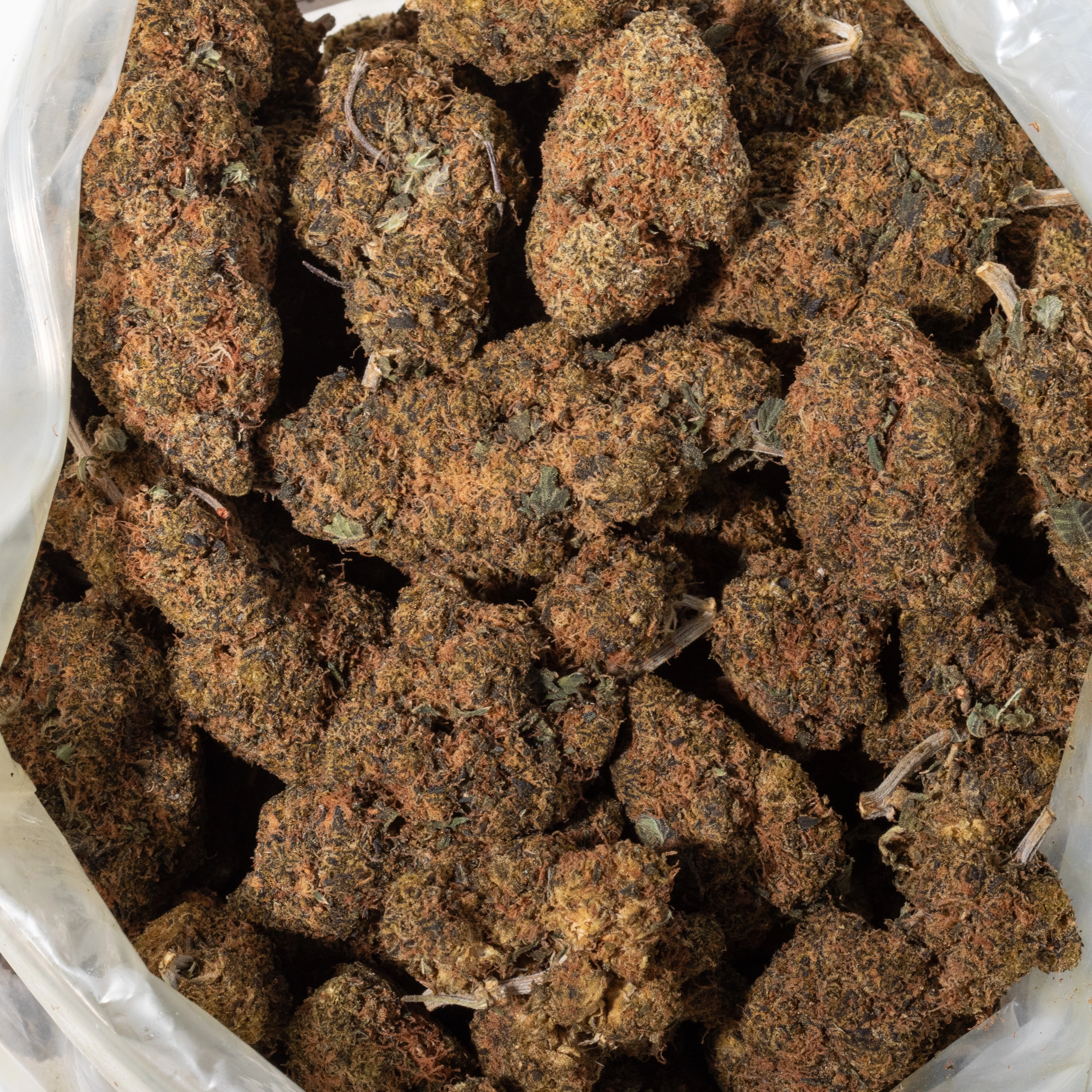 Permanent Marker (AAA+)