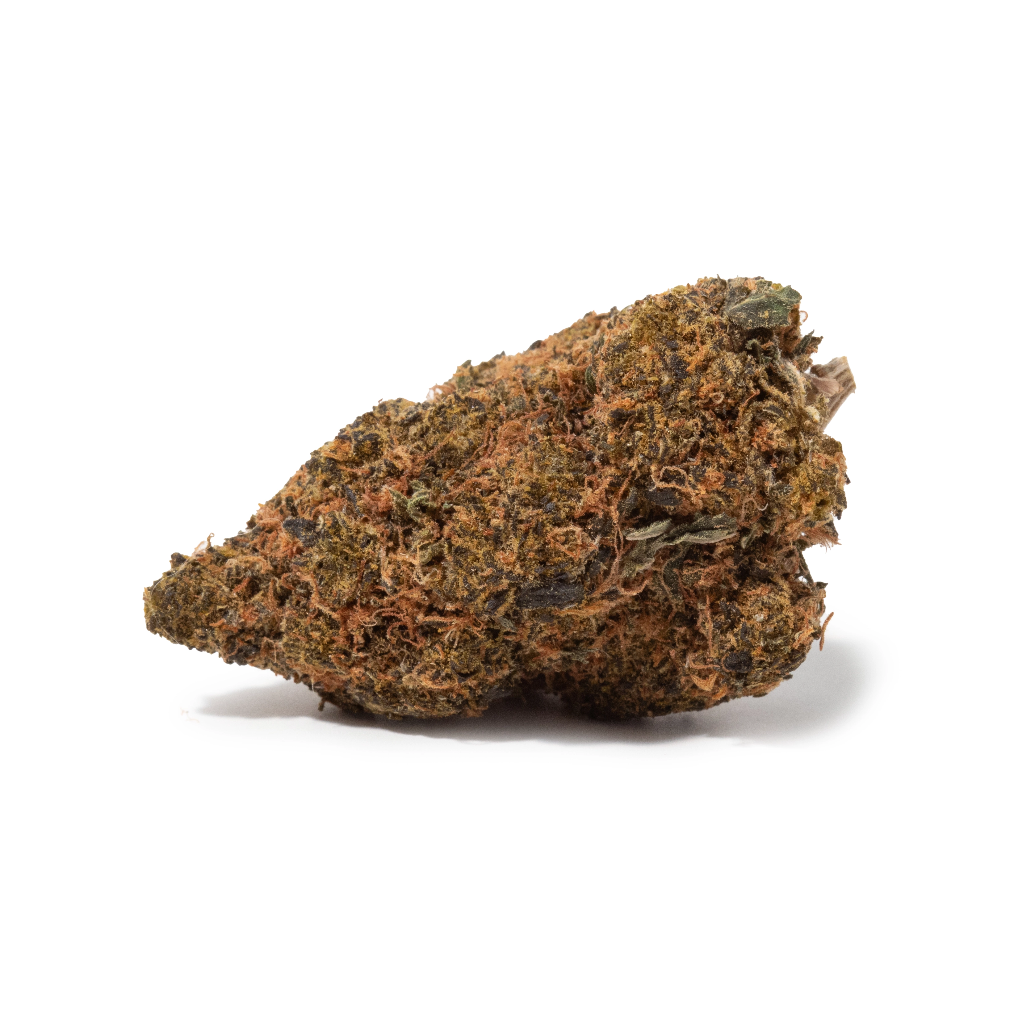 Permanent Marker (AAA+)