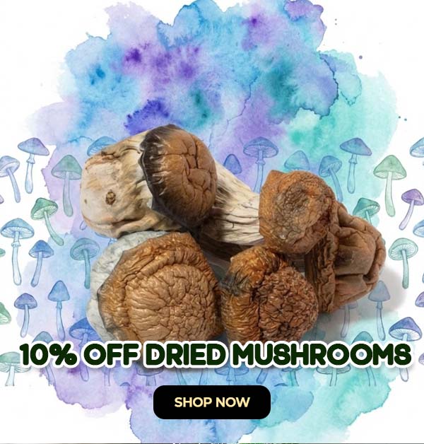 10% OFF Dried Shrooms