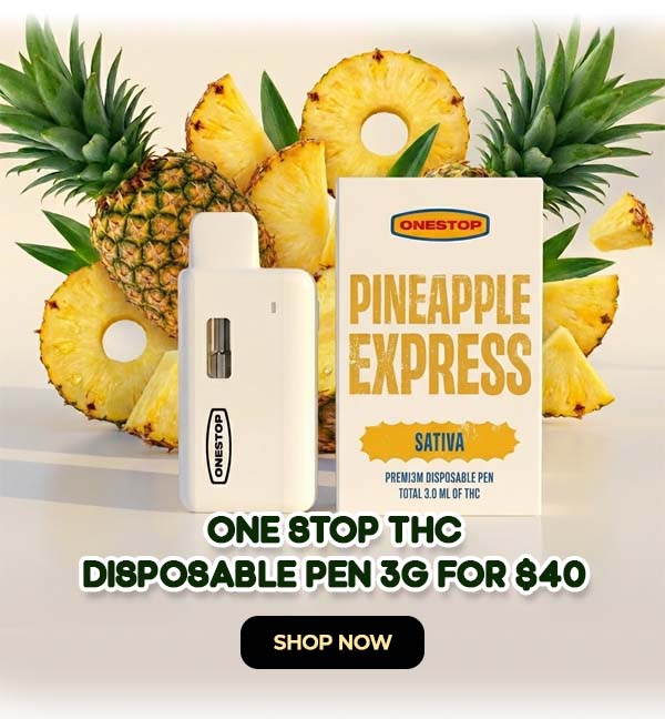 One Stop – THC Disposable Pen (3g) - $40