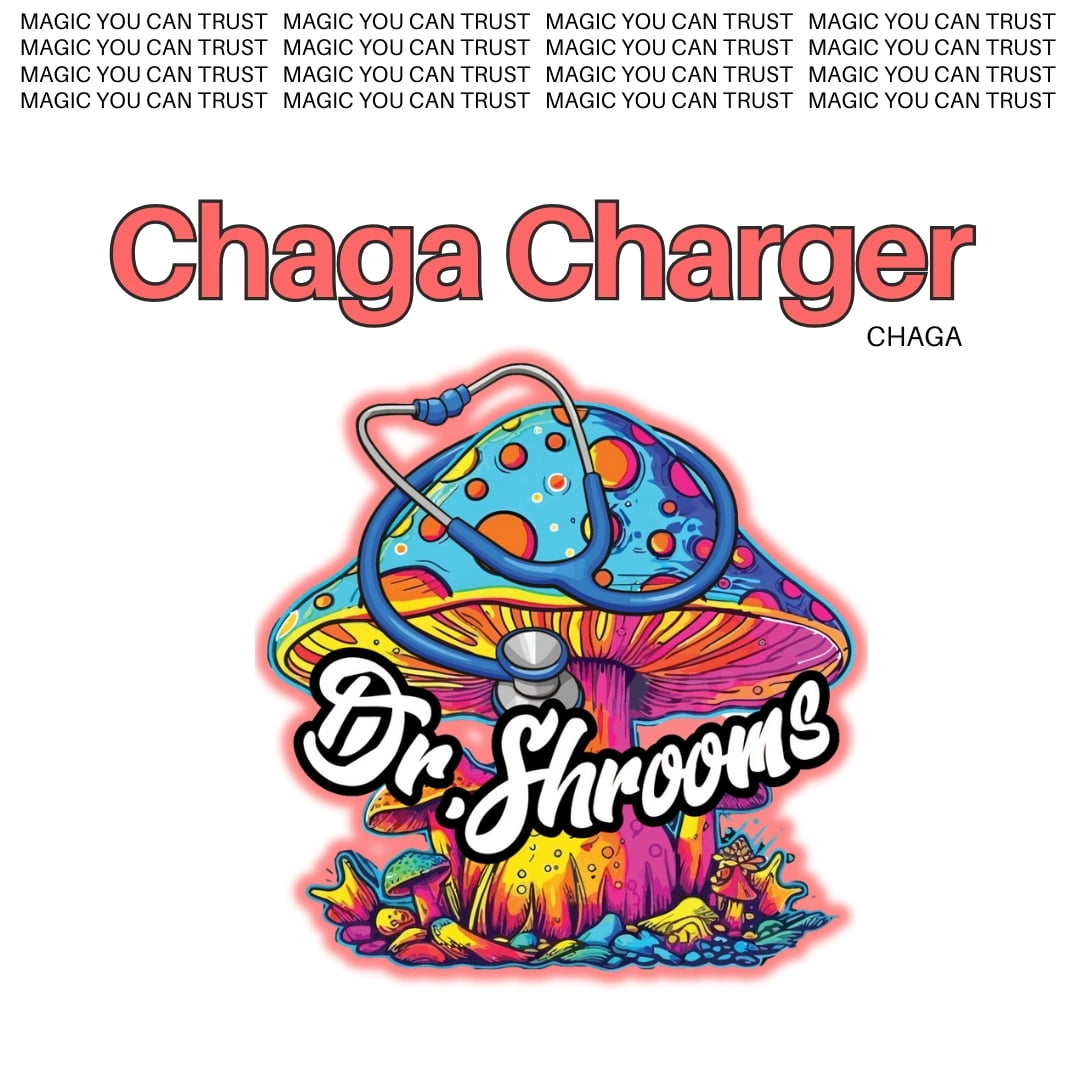 Chaga Charger Capsules – Dr. Shrooms