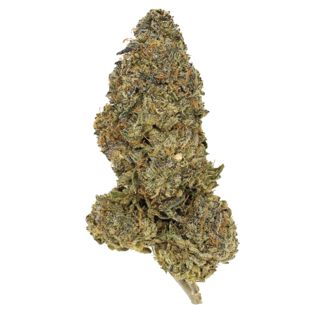 Ounce Deal: AA Great White Shark