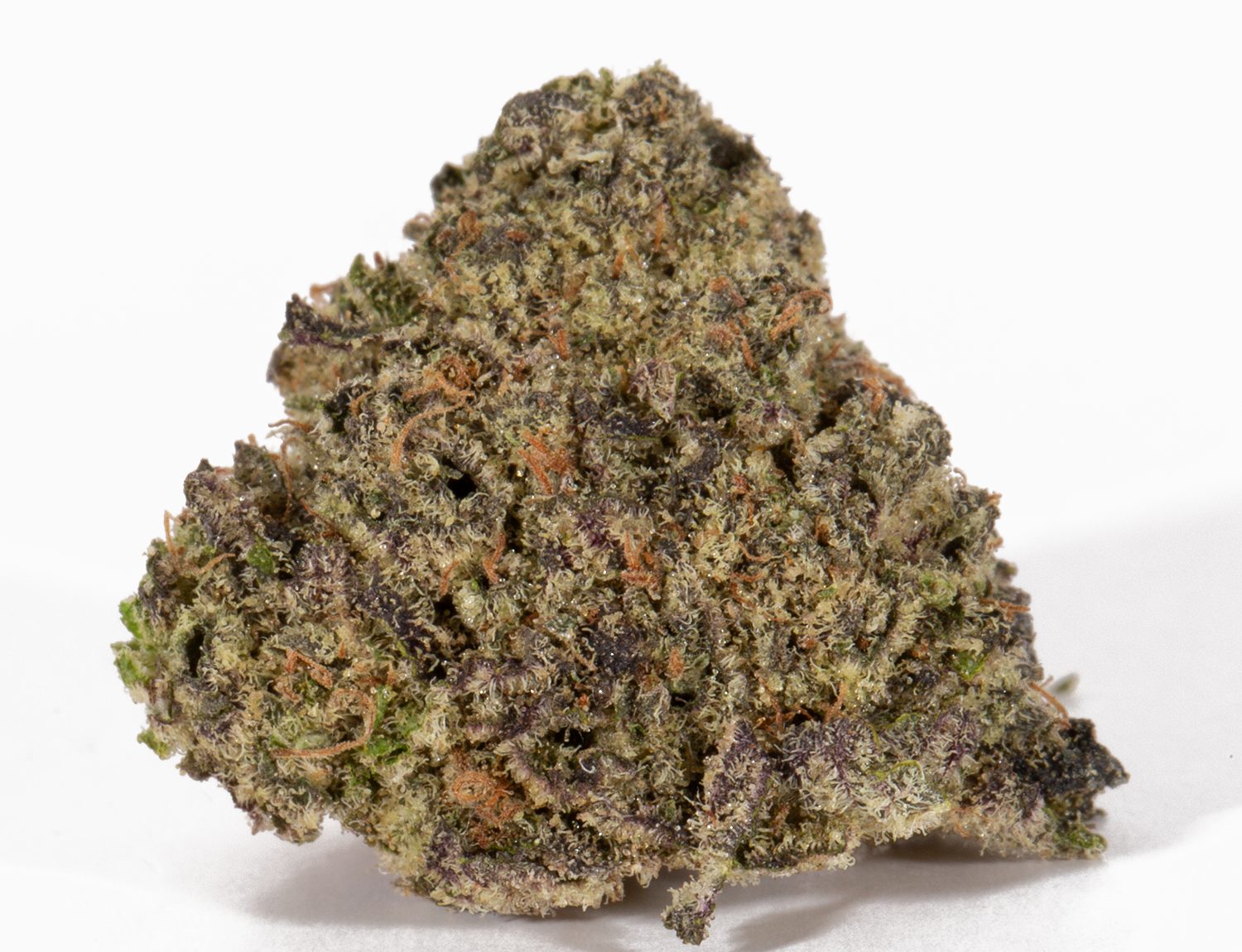 Bahama Mama (AAAA+) - Image 3