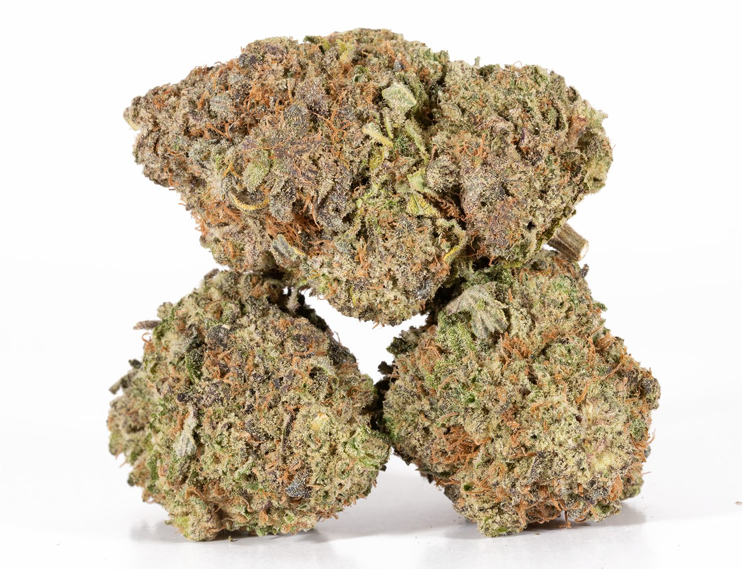 Bahama Mama (AAAA+) - Image 2