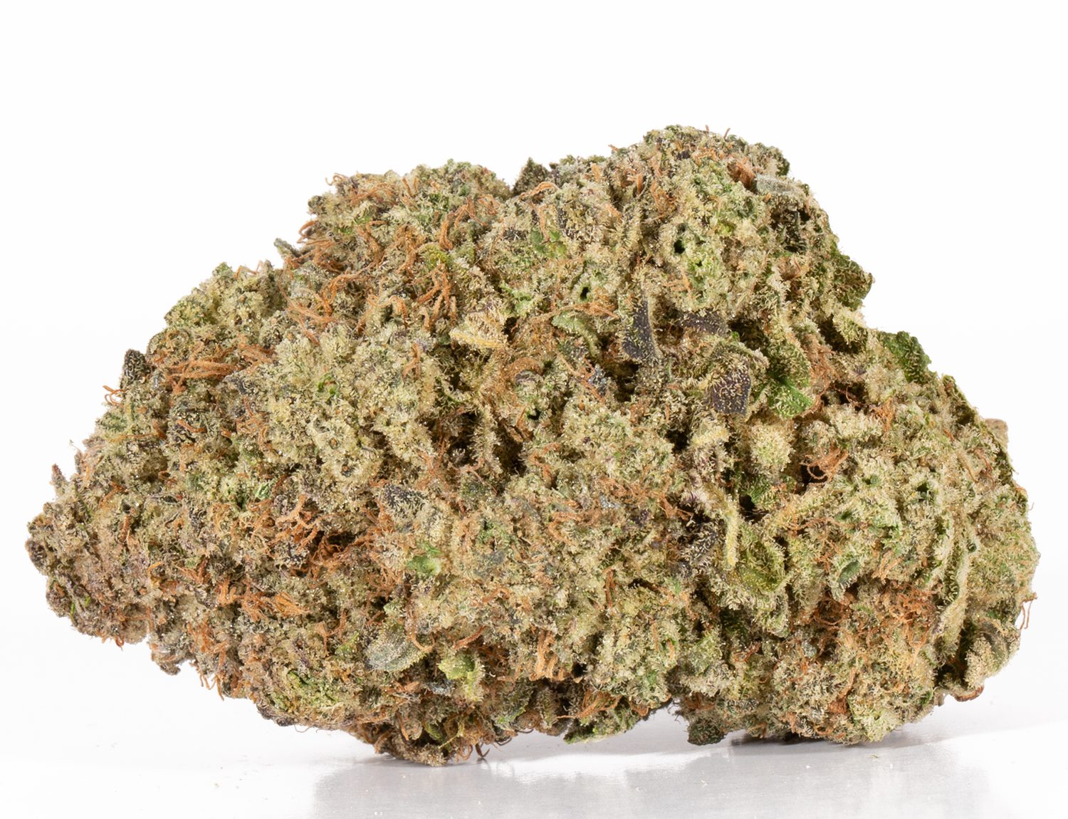 Bahama Mama (AAAA+) - Image 4