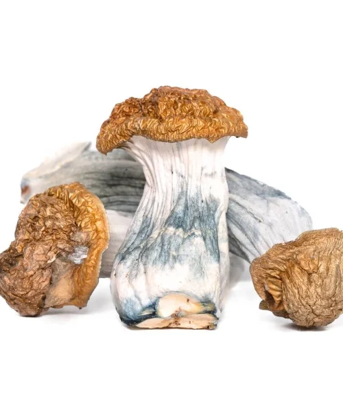 AAAA Trinity Mushroom