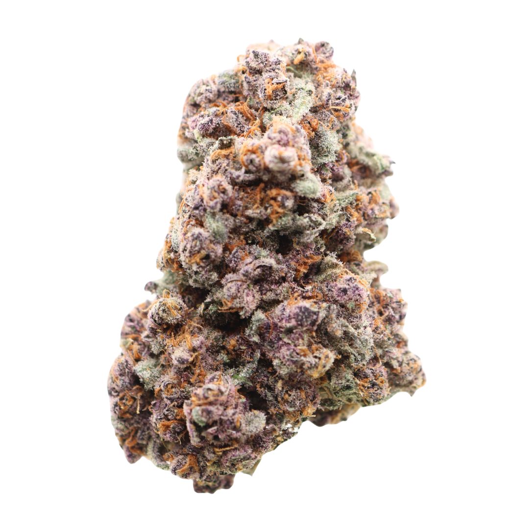 AAAA Amethyst By Kootney Exotics - Karma cup Winner 🏆