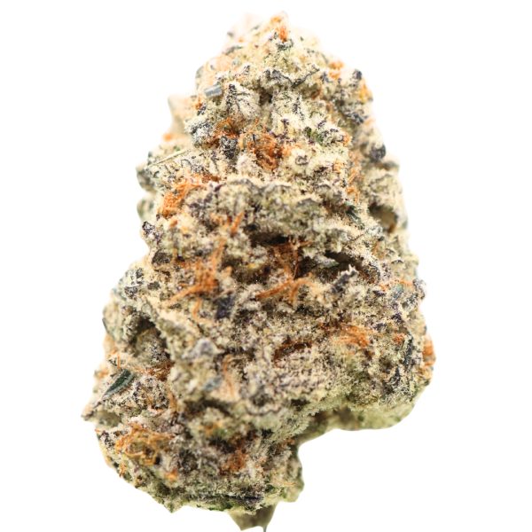 AAAA Tropicanna Tangerine : 🏆 Cup Winning Sativa | LSO