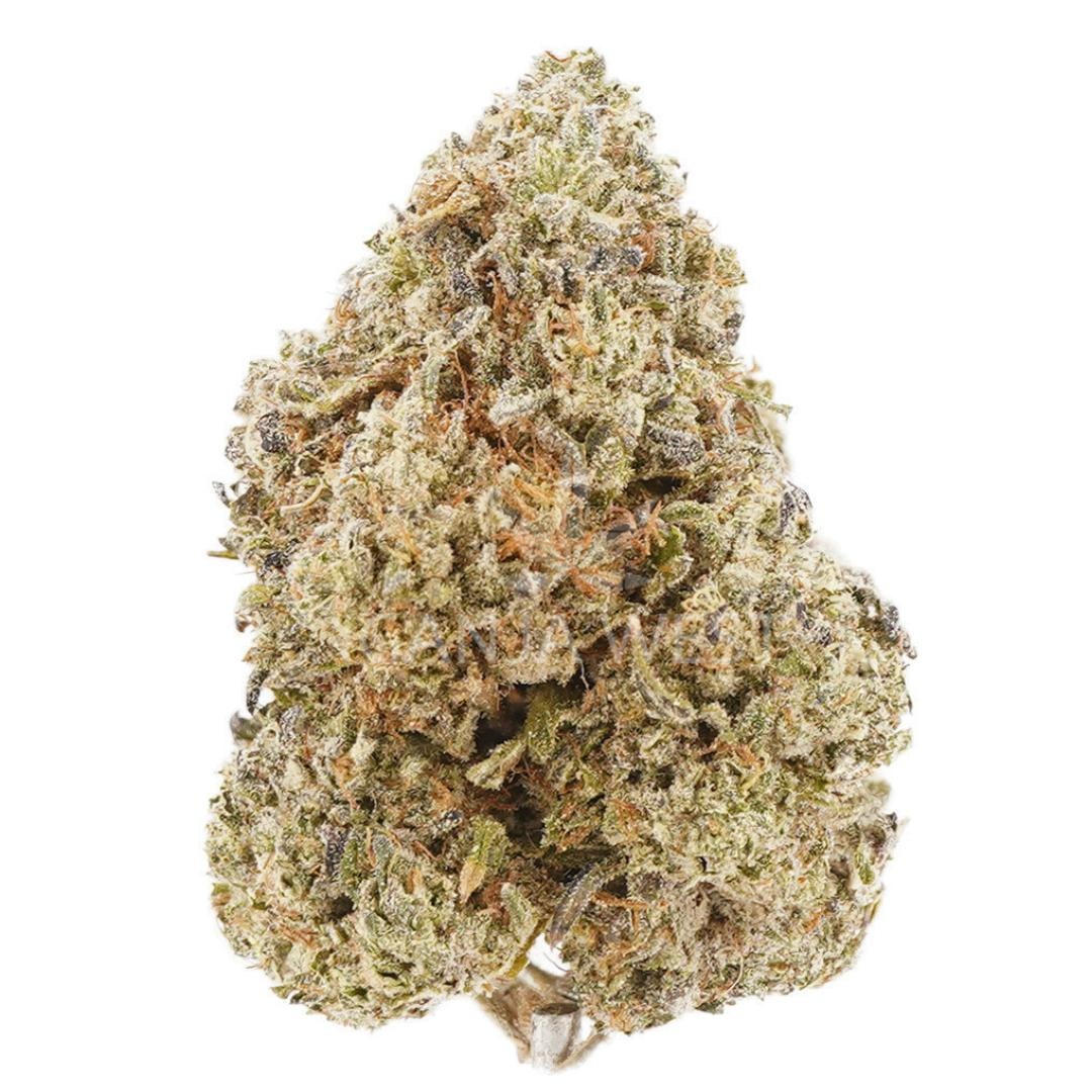 AA Gorilla Glue