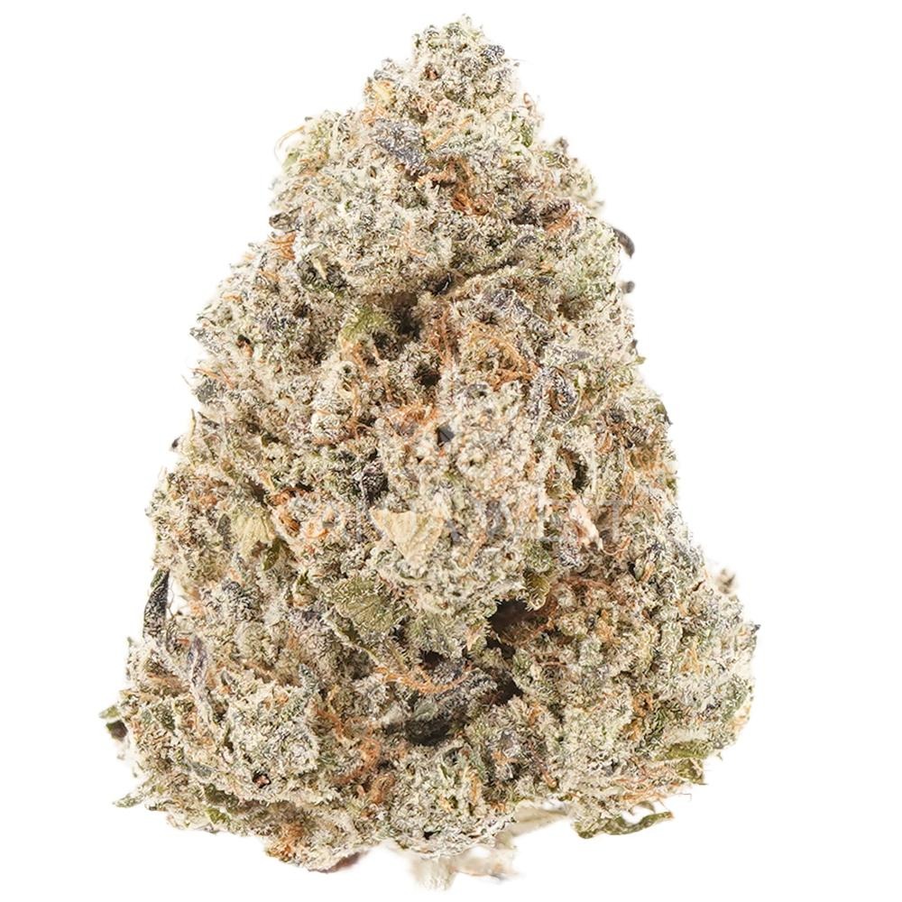 AA Tropical Thunder
