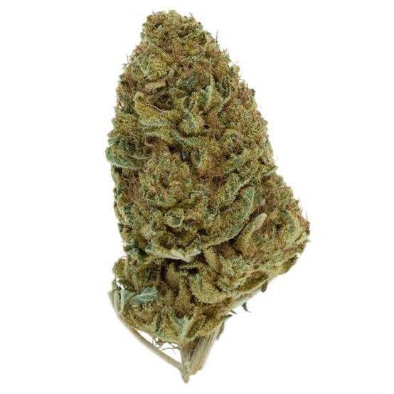 AA+ Blue Dream | OZ Deal