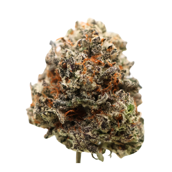 AAA Mendo Breath