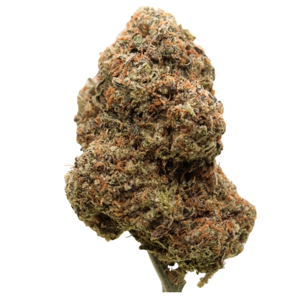 AAAA Purple Medocino