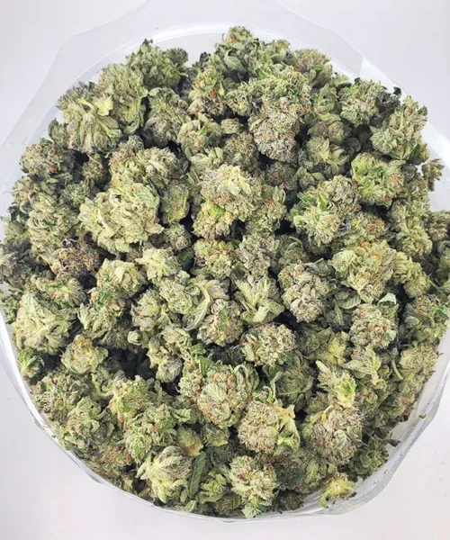 AA Northern Lights Smalls