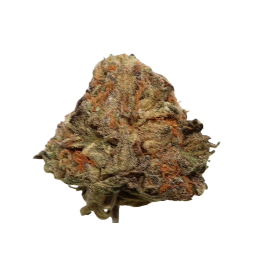AA OG Shark Smalls
